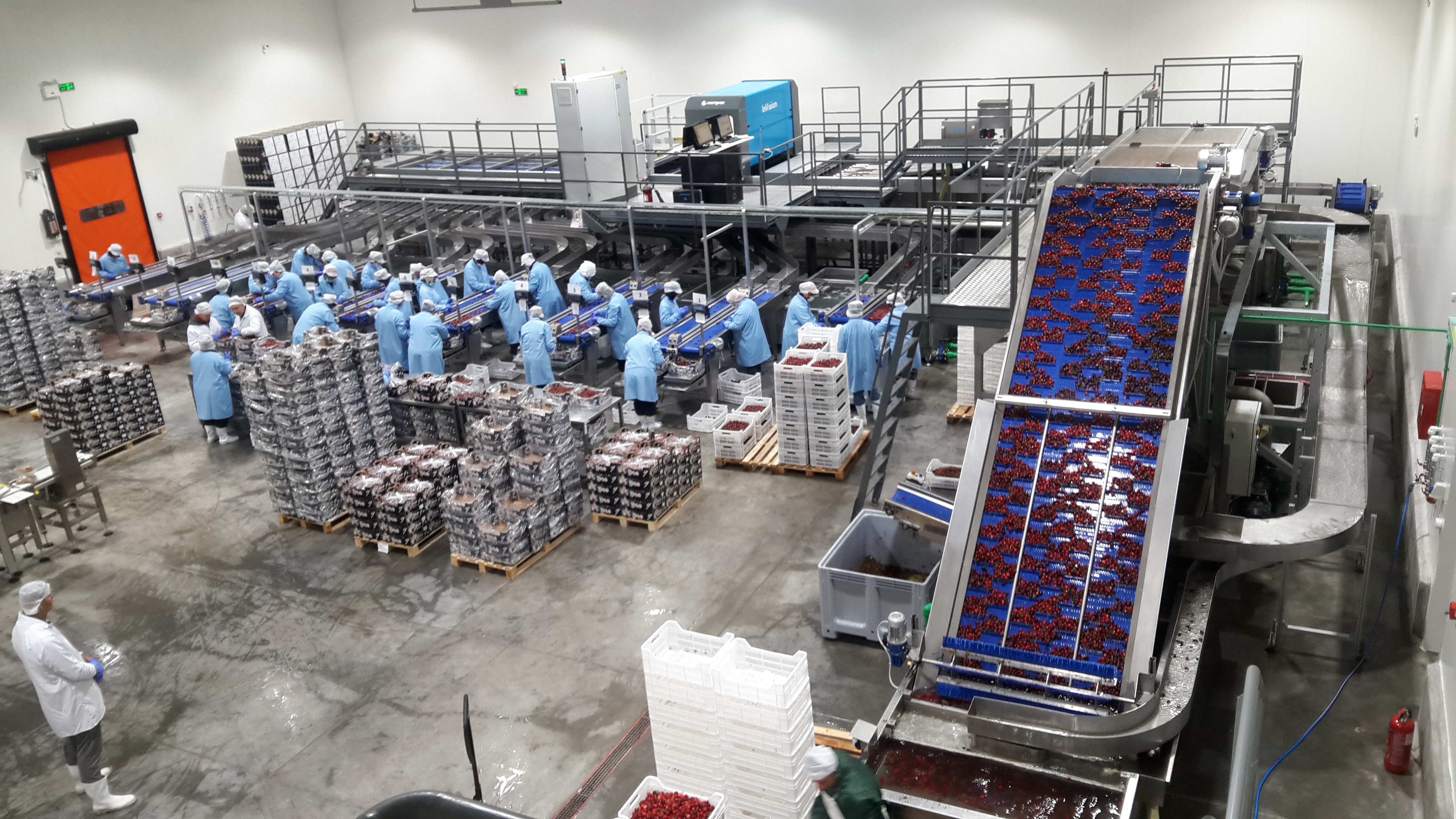 YAKA modern packing and calibration line