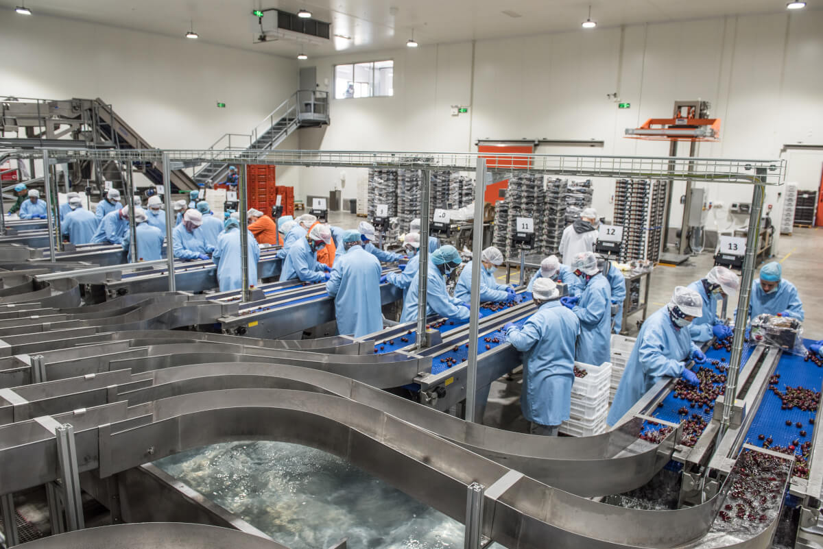 YAKA modern packing line overview