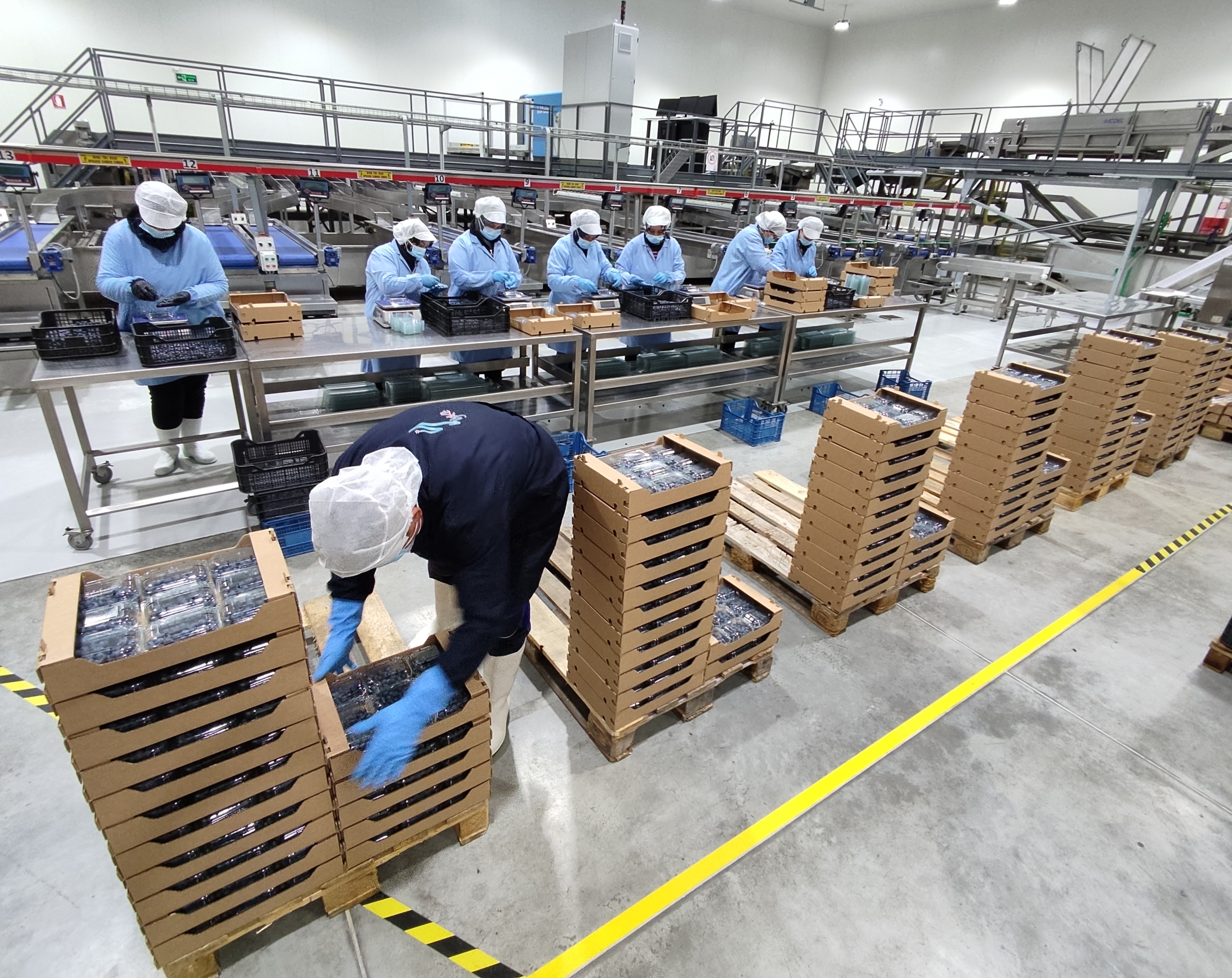 YAKA boxing and shipment preparation